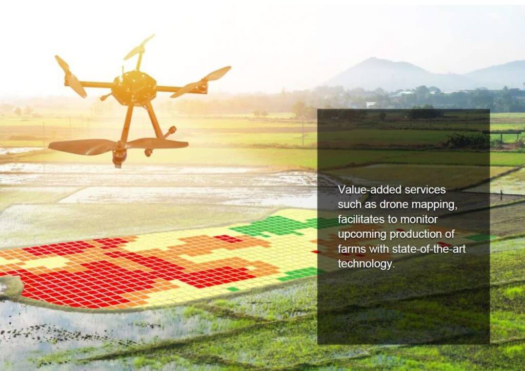 Commodity Exchange Platform Epic Lanka